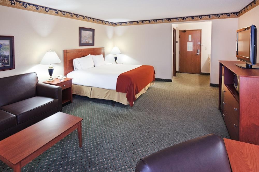 HOLIDAY INN EXPRESS HOTEL & SUITES DALLAS LEWISVILLE photo 4