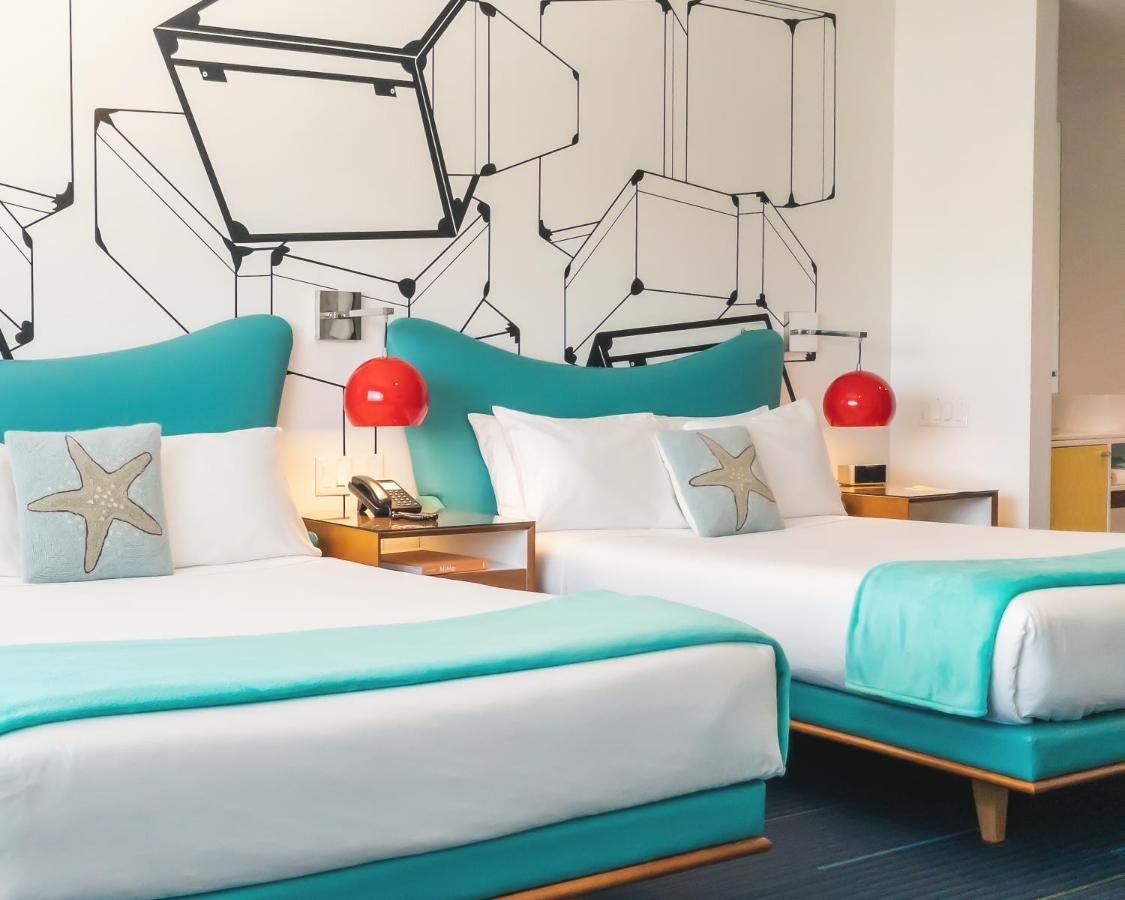 THE VAGABOND HOTEL photo 2