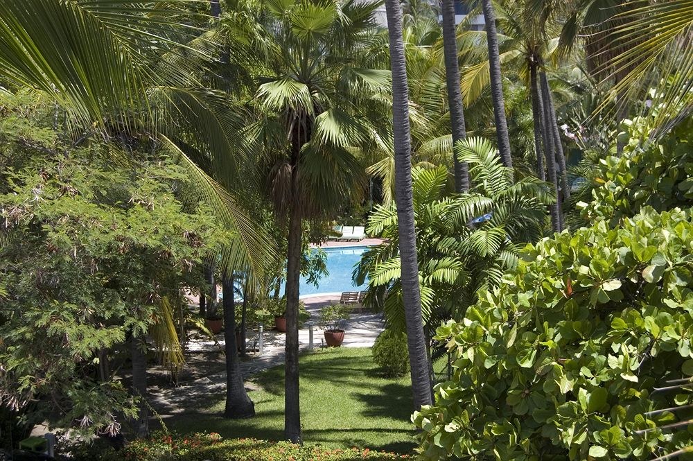 Acapulco Park Hotel photo 3