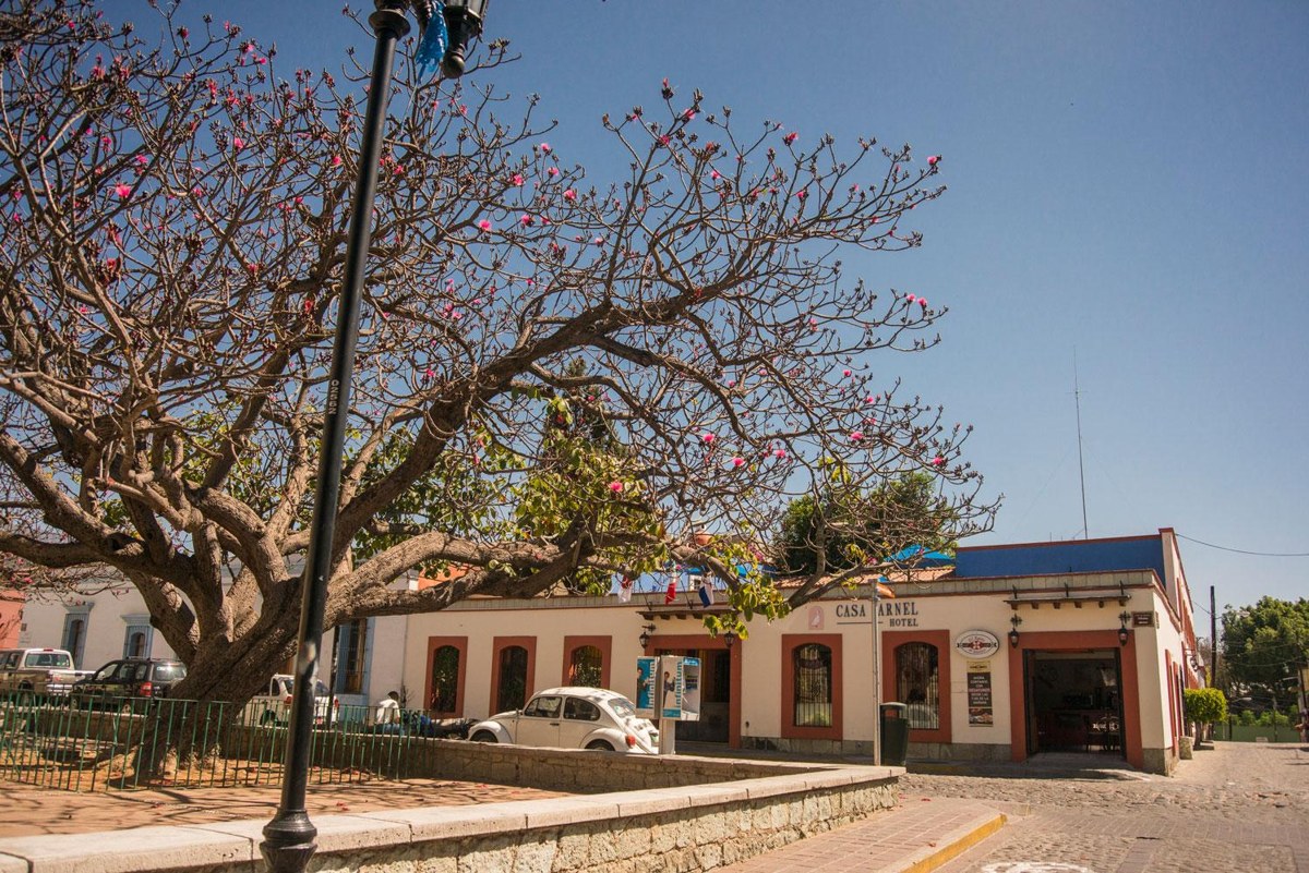 HOTEL CASA ARNEL photo 2