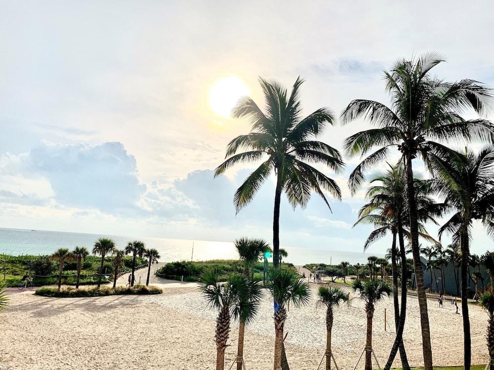 THE BROADMOOR MIAMI BEACH photo 4