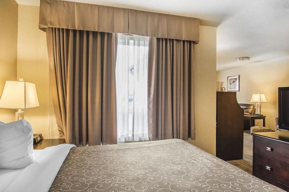 Quality Inn & Suites photo 3