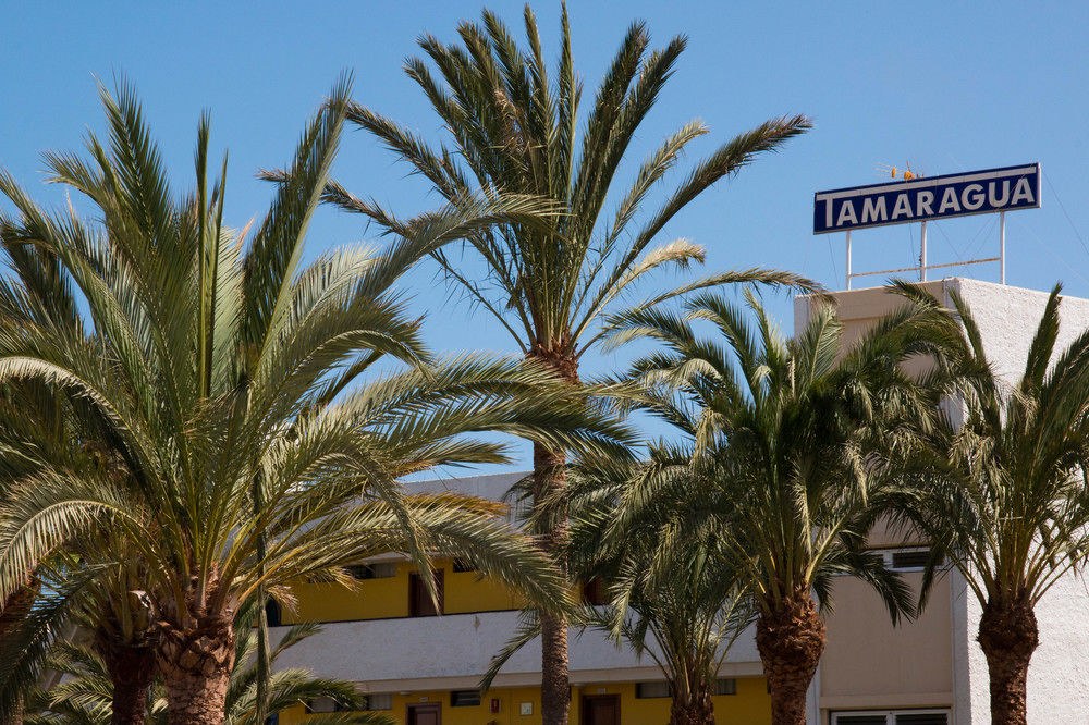 APARTAMENTOS TAMARAGUA photo 3