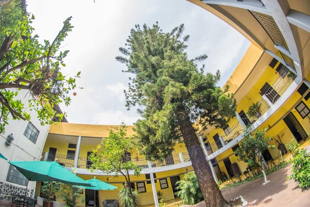 HOTEL AND HOSTEL ALLENDE photo 2