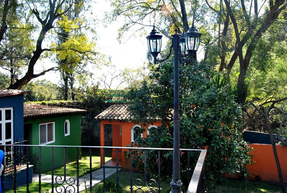 L'ORANGERIE photo 3