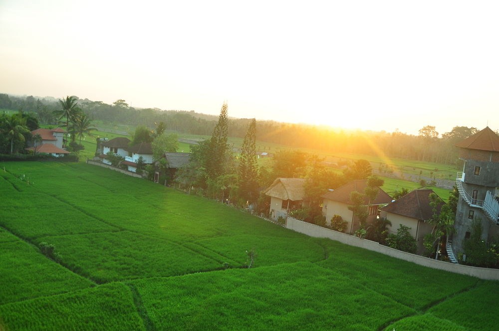 The Evitel Resort Ubud photo 3