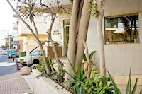 DE LA MER HOTEL photo 1