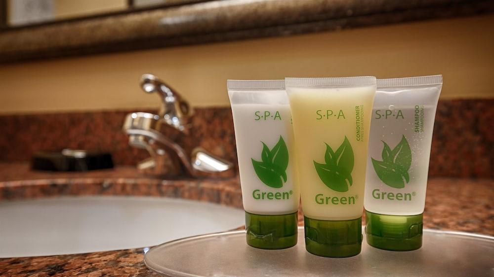 Best Western Plus Manvel Inn & Suites photo 4