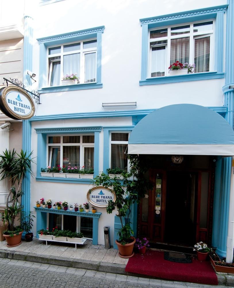 BLUE TUANA photo 4
