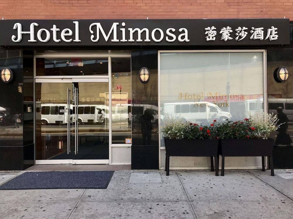 Hotel Mimosa photo 3