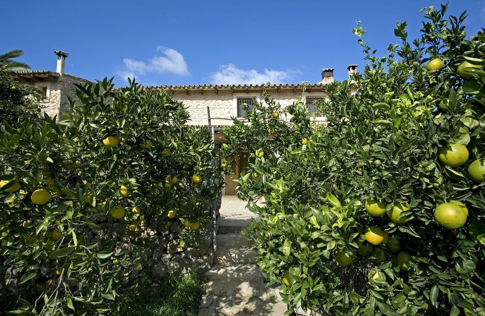 AGROTURISMO SON GINEBRÓ