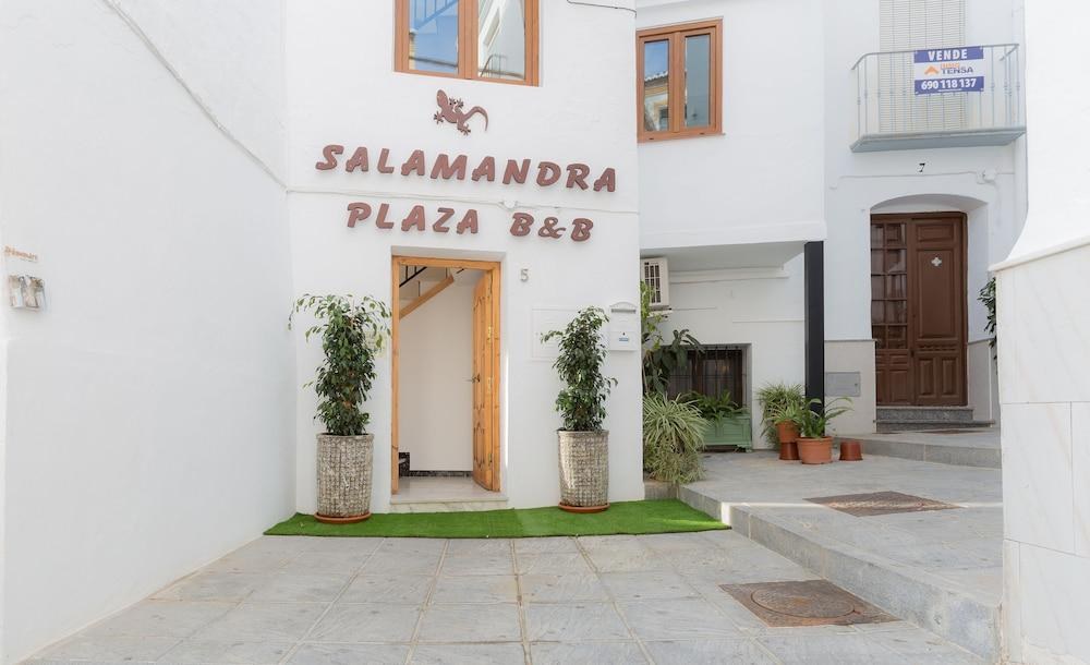 Salamandra Plaza B&B photo 4
