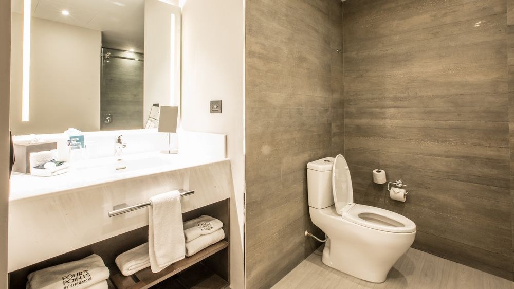FOUR POINTS BY SHERATON PUEBLA photo 3