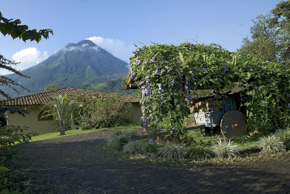 Hotel Mountain Paradise