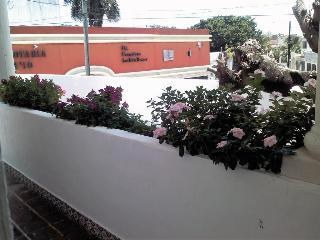 SUITES ROSAS HOTEL BOUTIQUE