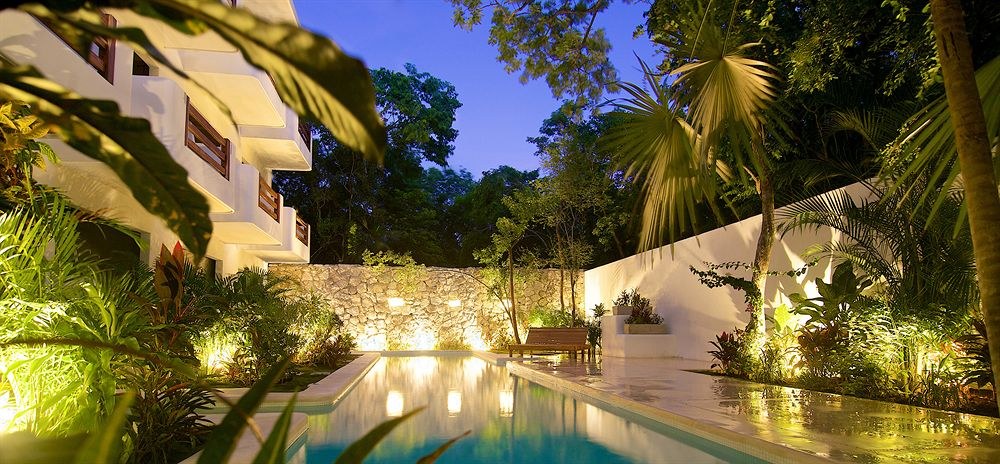 Livetulum photo 1