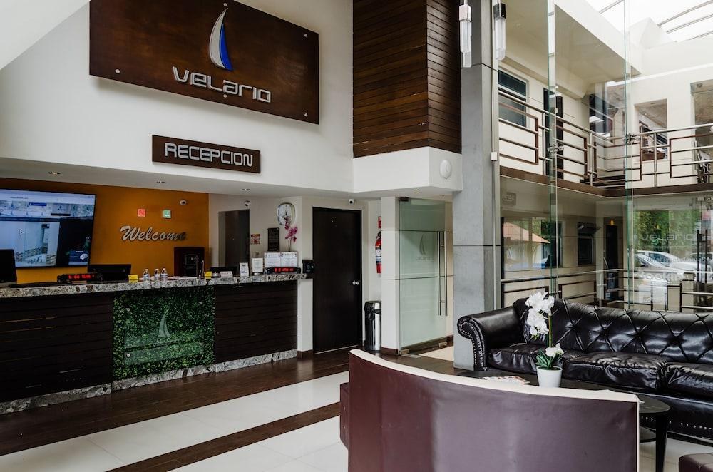 Hotel Velario photo 3