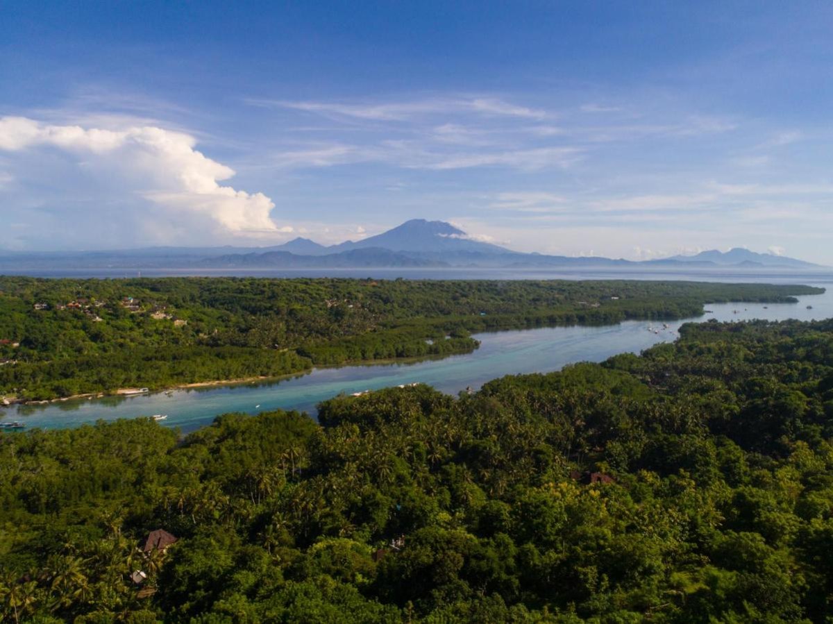 TAMARIND RESORT NUSA LEMBONGAN photo 3