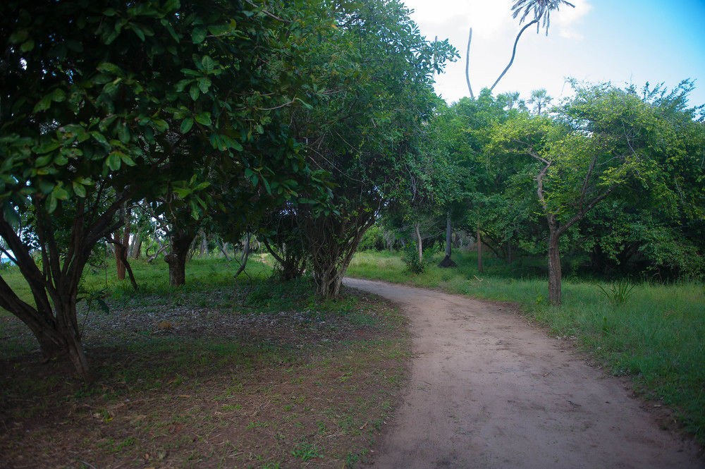 Amani Beach Hotel photo 3