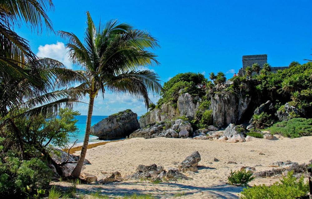 Xscape Tulum photo 1