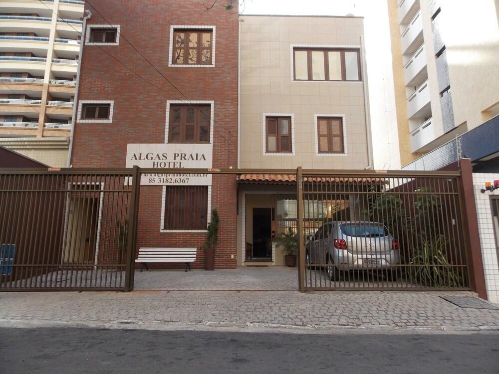 Ocean Praia Hotel LTDA photo 3