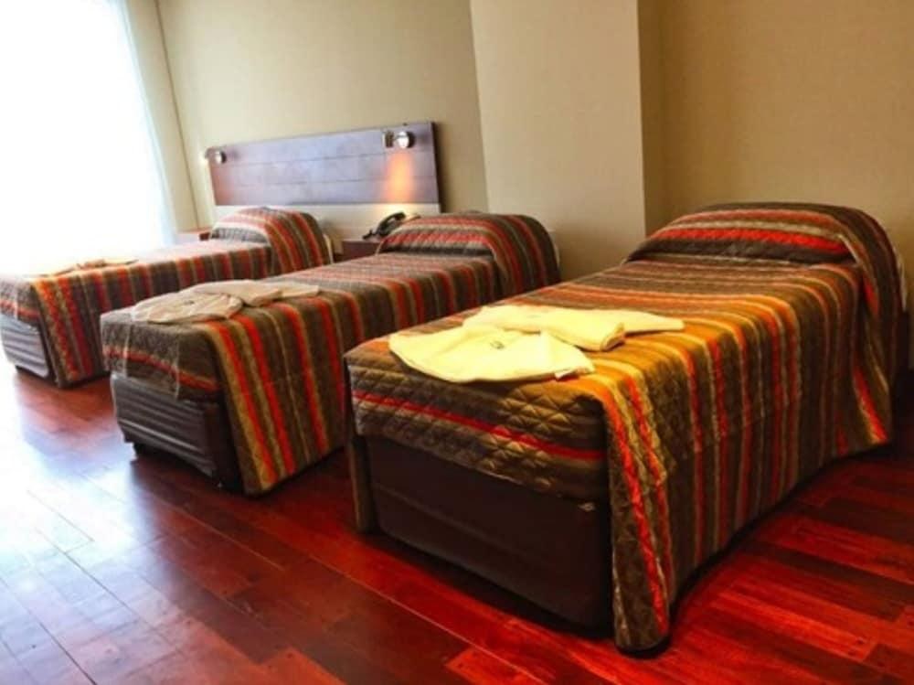 PLAZA HOTEL PASEO photo 2