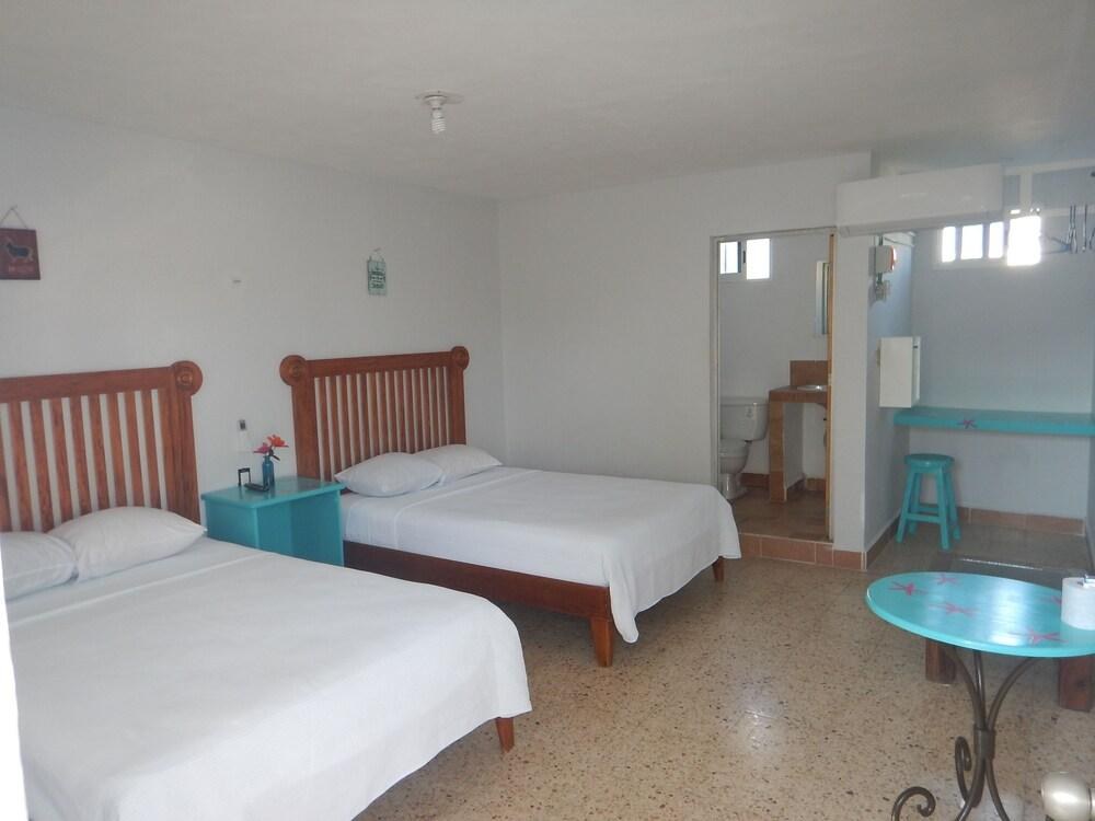 Hotel Blue Coconut Cancun photo 2