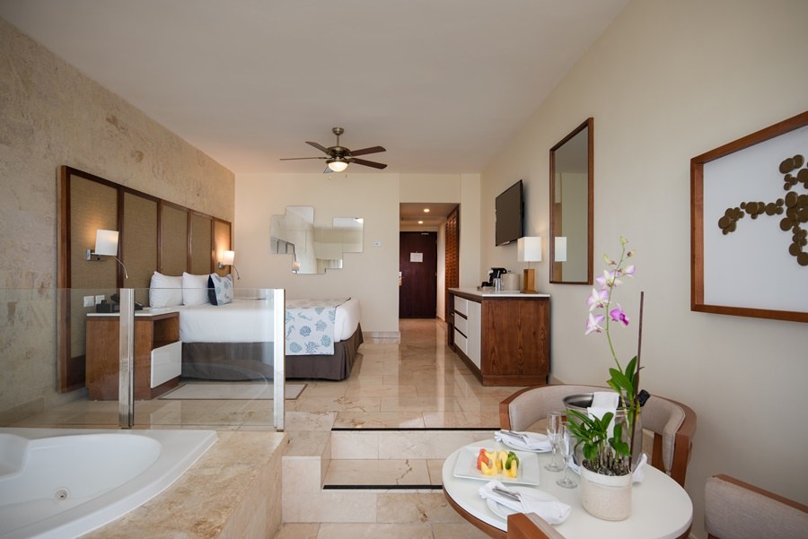 IMPRESSIVE PREMIUM PUNTA CANA photo 4