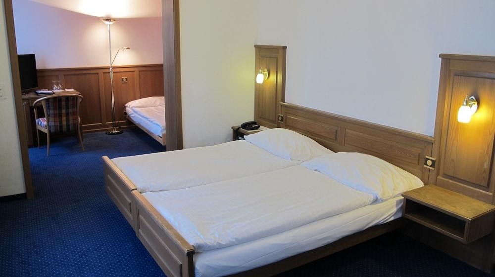 ALPINA HOTEL photo 2