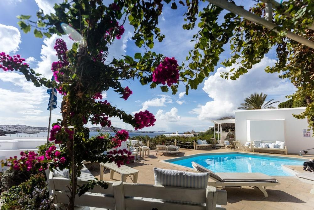 Rhenia Hotel photo 4