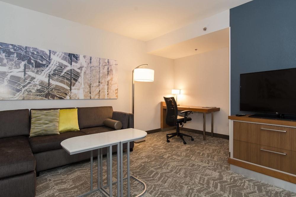 SPRINGHILL SUITES CHARLOTTE BALLANTYNE AREA photo 3