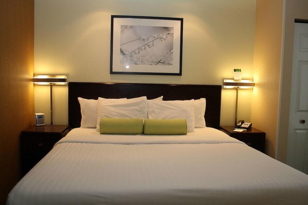 SPRINGHILL SUITES MORGANTOWN photo 2