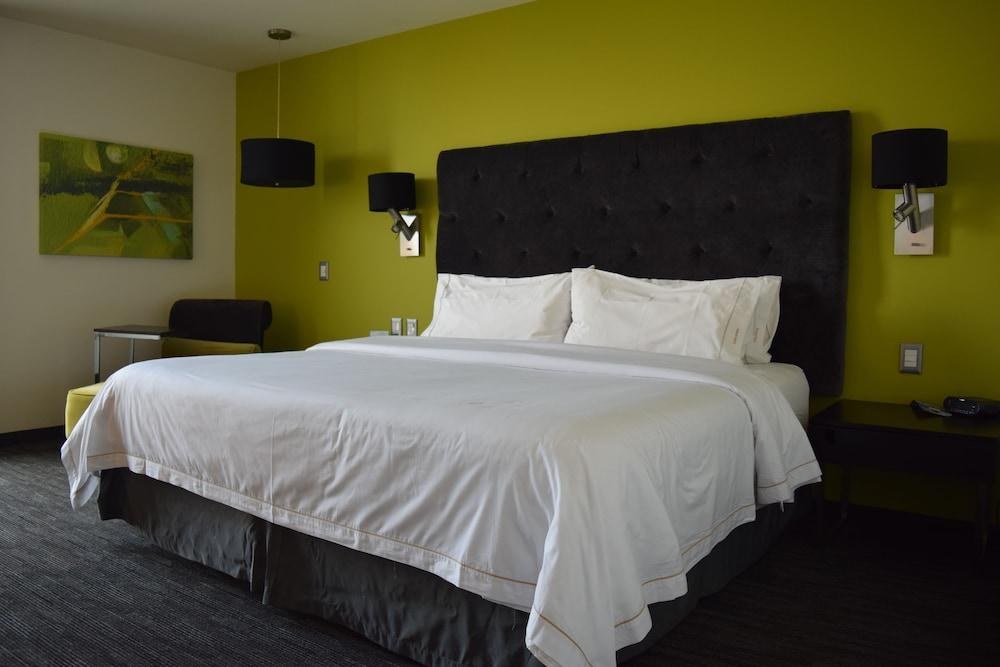 Holiday Inn Express Toluca Galerias Metepec By IHG photo 4