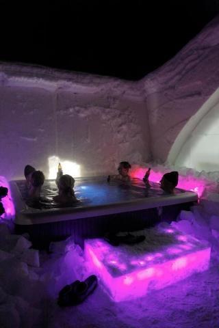 Arctic Snow