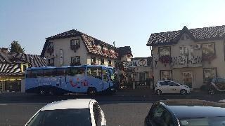 Pensiunea Luiza photo 1