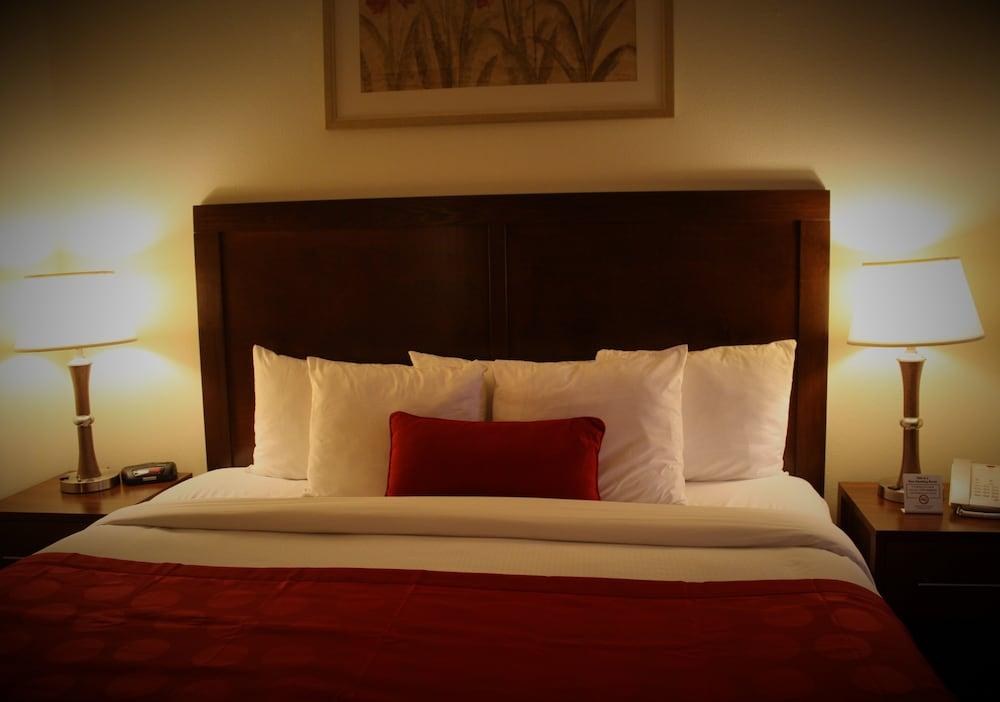 Ramada by Wyndham Denver International Airport photo 3
