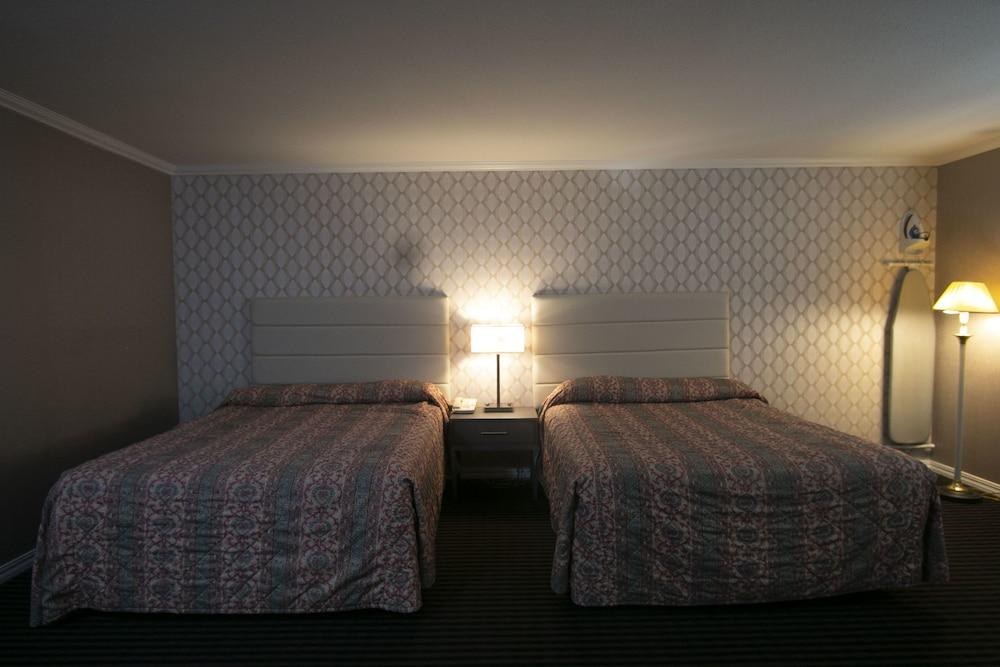 Alpha Inn & Suites photo 3
