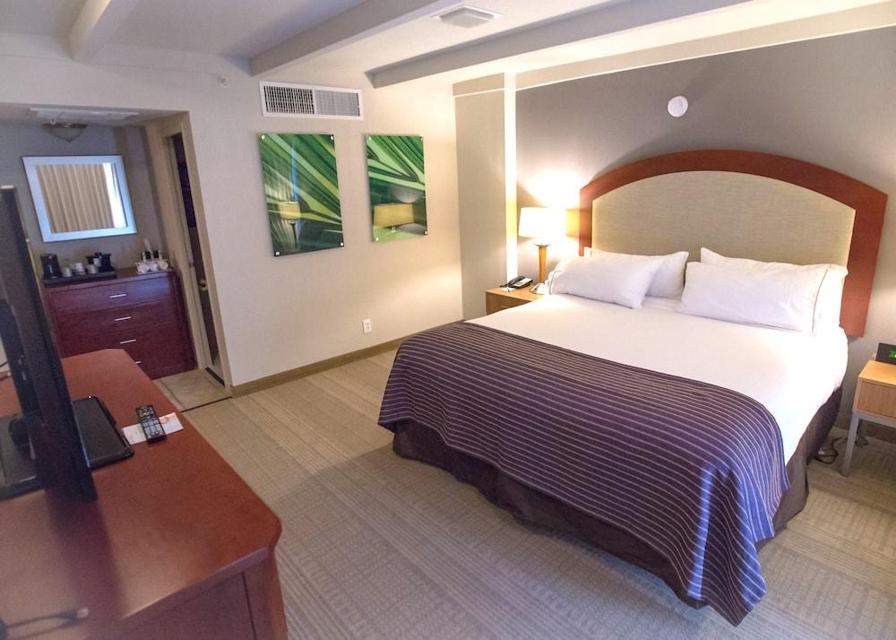 Holiday Inn Express St Louis - Central West End photo 3