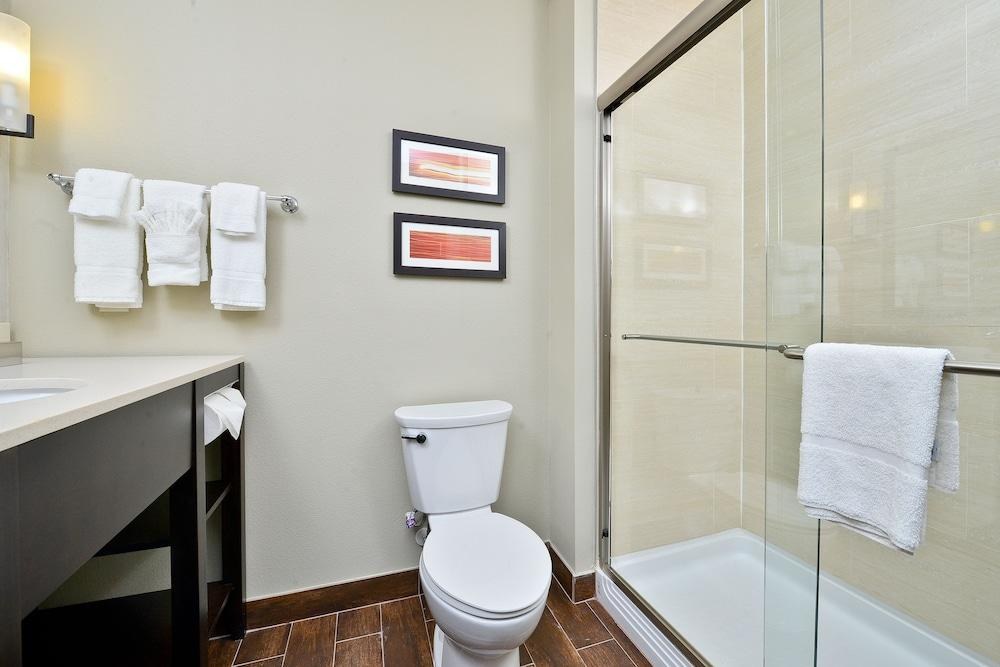 Comfort Suites near Westchase on Beltway 8 photo 2
