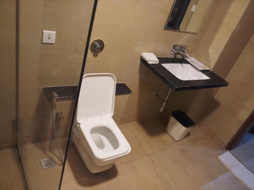 Hotel Apex International-Jodhpur photo 3