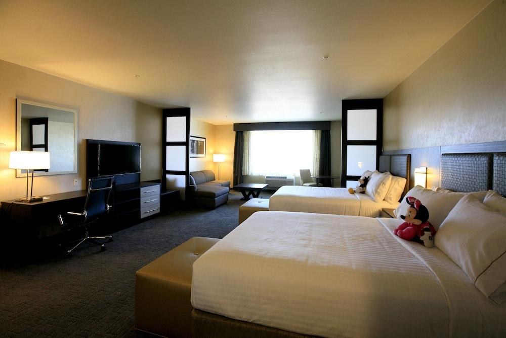 Holiday Inn Express & Suites Anaheim Resort Area By IHG photo 2