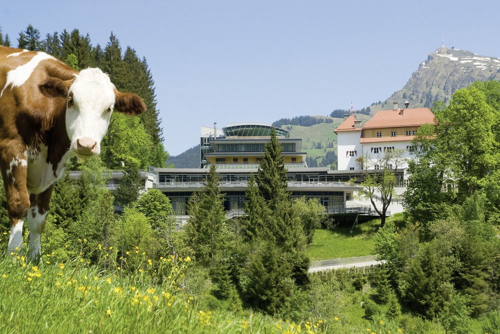 HOTEL SCHLOSS LEBENBERG photo 1