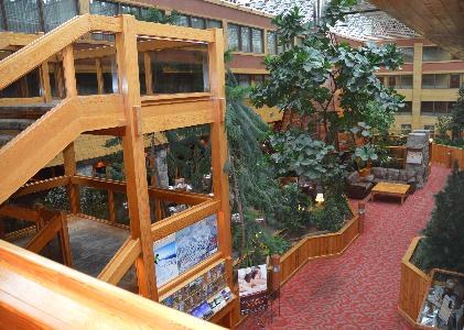Forest Park Hotel photo 2