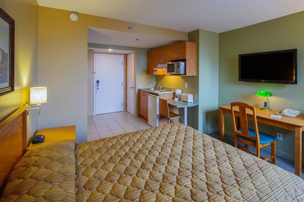 LES SUITES LABELLE photo 3