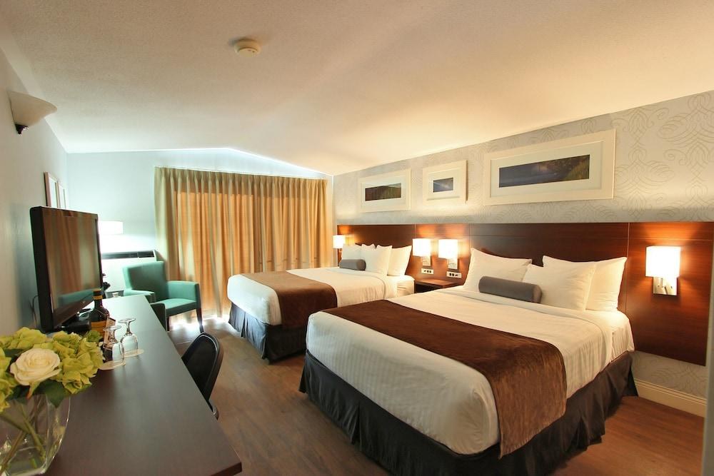 RODD MONCTON photo 4