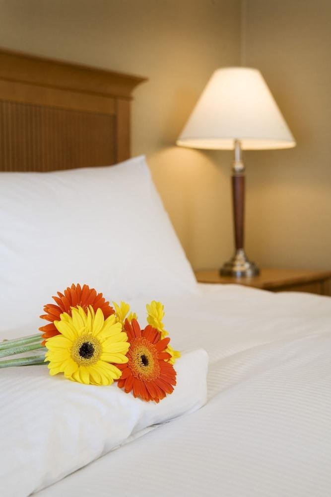 COAST CAPRI HOTEL photo 3