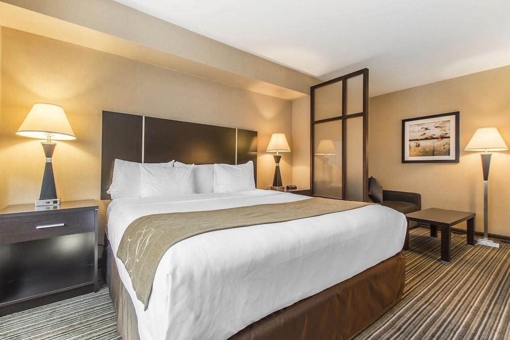 COMFORT SUITES DOWNTOWN photo 4