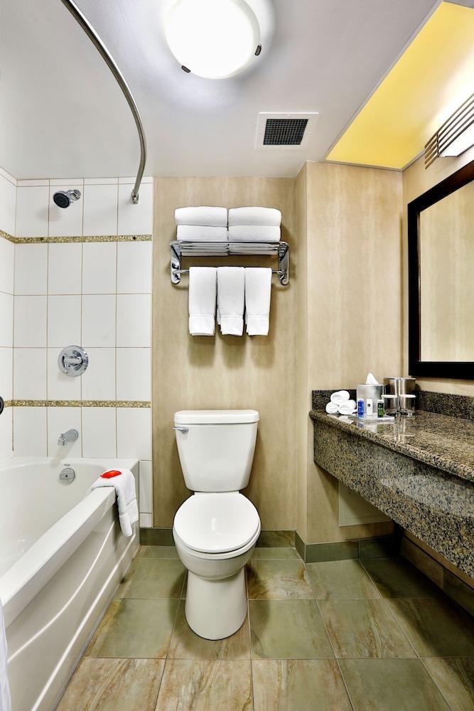 RADISSON HOTEL WINNIPEG DOWNTOWN photo 3
