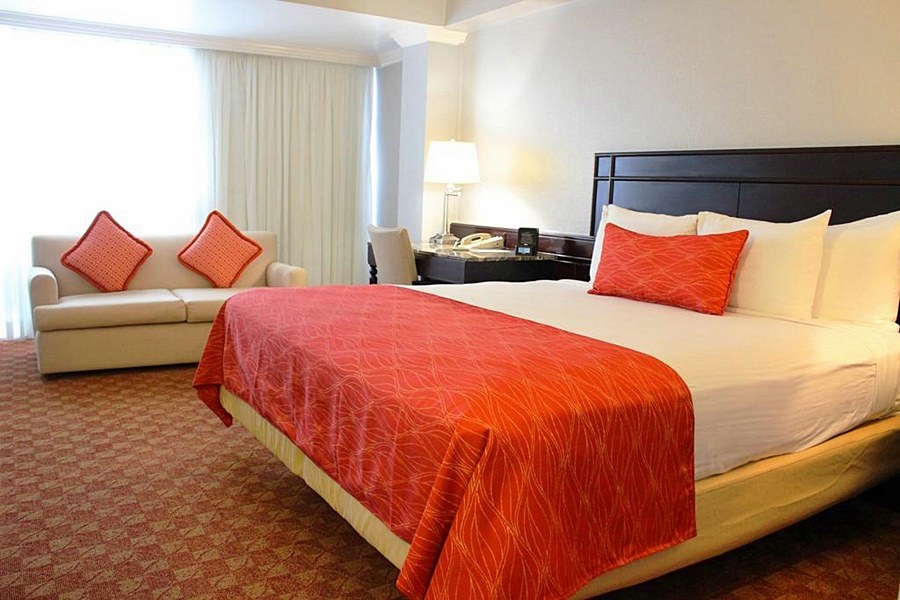 THE JAMAICA PEGASUS HOTEL photo 2