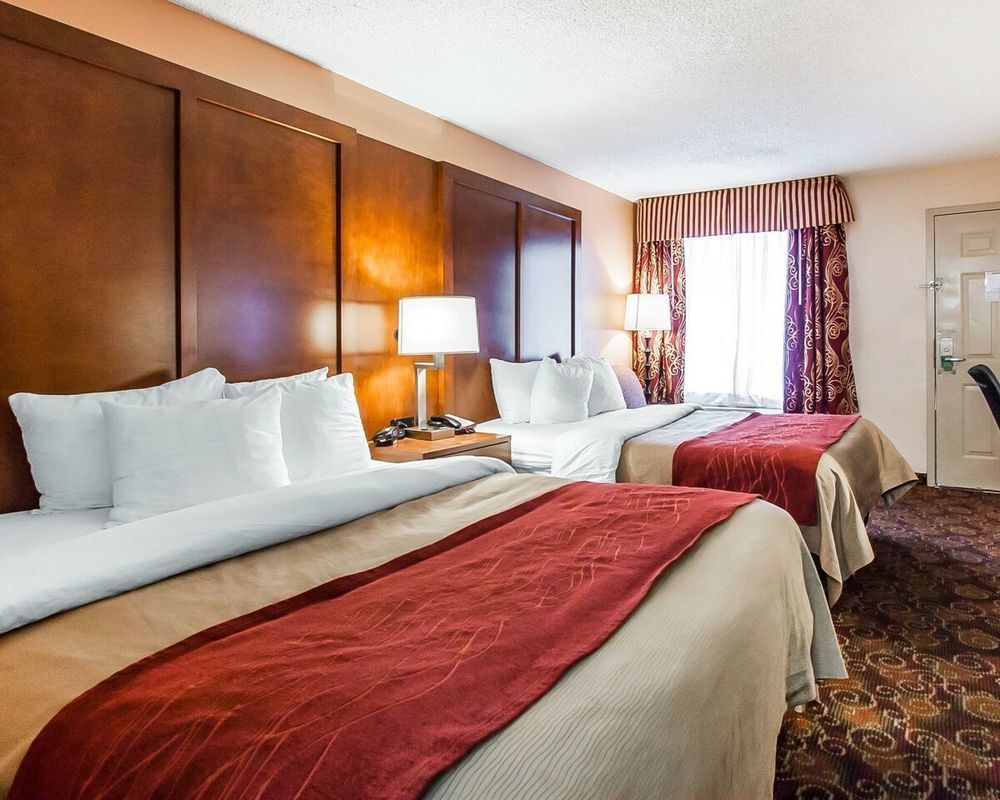 COMFORT INN DOWNTOWN - NASHVILLE photo 1